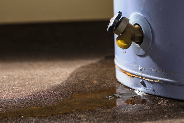 Best Water damage restoration experts  in Batesburg Leesville, SC