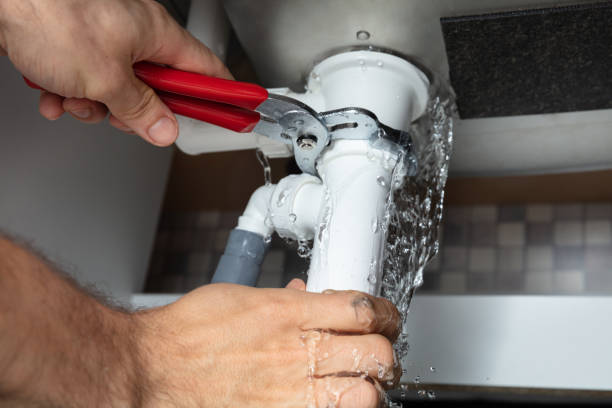 Best Ceiling water damage repair  in Batesburg Leesville, SC