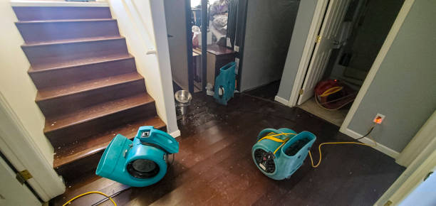 Best Water damage restoration near me  in Batesburg Leesville, SC