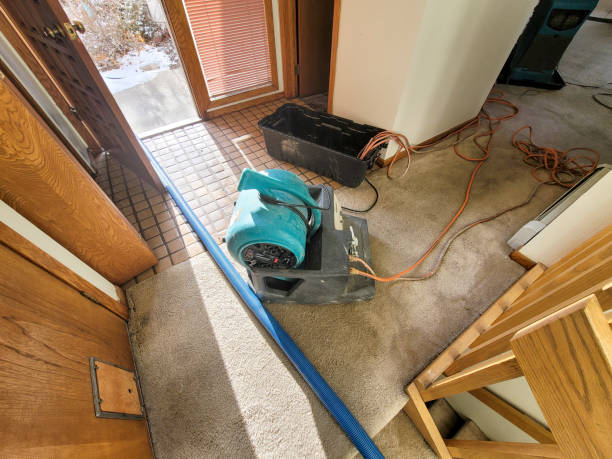 Best Fire Damage Restoration  in Batesburg Leesville, SC