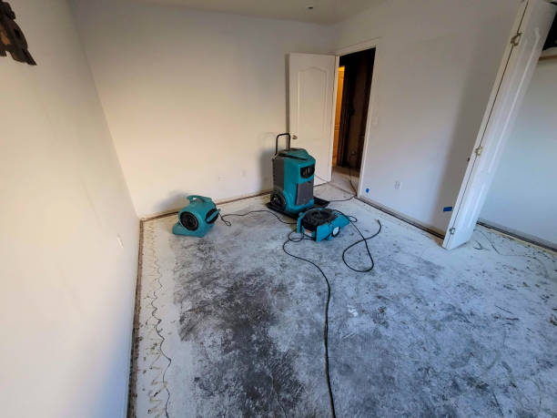 Best Emergency water damage restoration  in Batesburg Leesville, SC