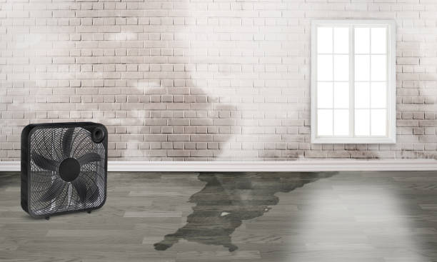 Best Water damage restoration near me  in Batesburg Leesville, SC