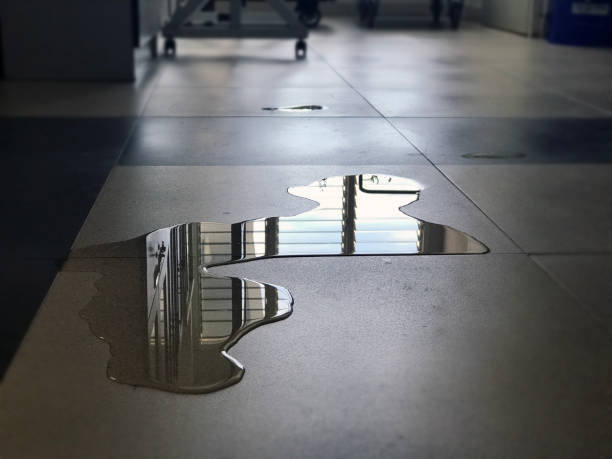 Best 24-hour water damage restoration  in Batesburg Leesville, SC