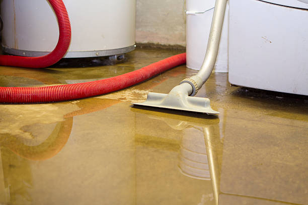 Trusted SC Water damage restoration Experts