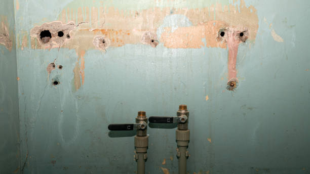 Best Water damage contractors near me  in Batesburg Leesville, SC