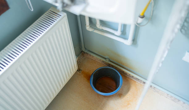 Best Mold removal after water damage  in Batesburg Leesville, SC
