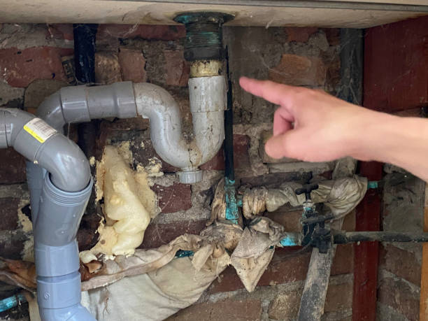 Best Sewage cleanup and water damage restoration  in Batesburg Leesville, SC