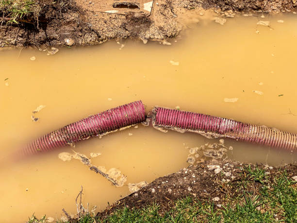 Best Water damage mitigation services  in Batesburg Leesville, SC