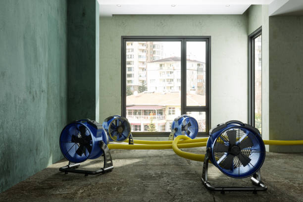 Best Water damage restoration specialists  in Batesburg Leesville, SC