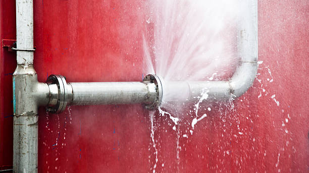 Best Flood damage cleanup  in Batesburg Leesville, SC