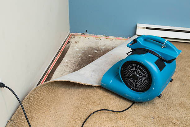 Best 24-hour water damage restoration  in Batesburg Leesville, SC